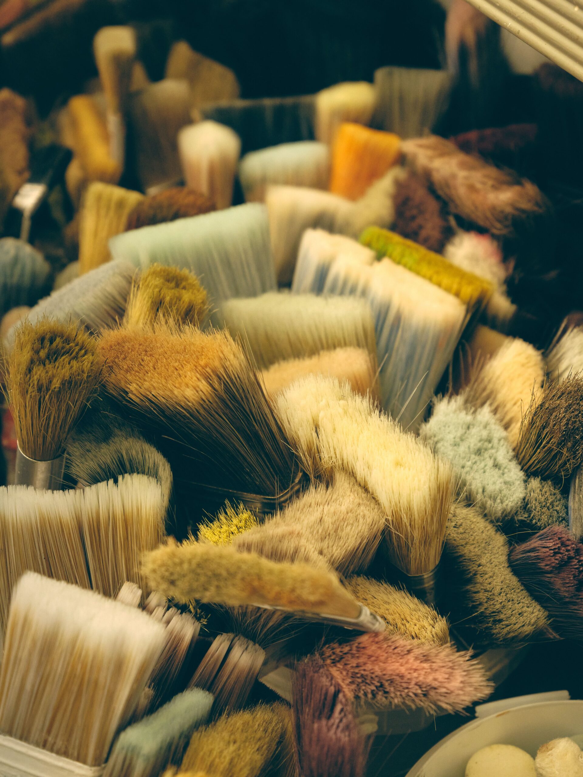 BRUSHES